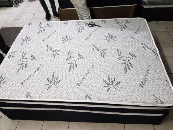 Euro-top Queen Bed - Image 3