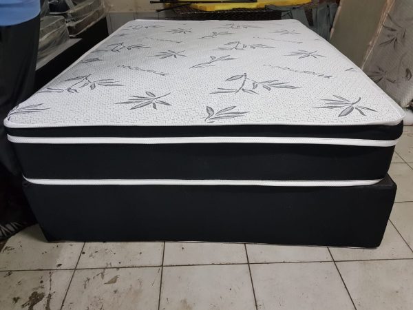 Euro-top Queen Bed - Image 5