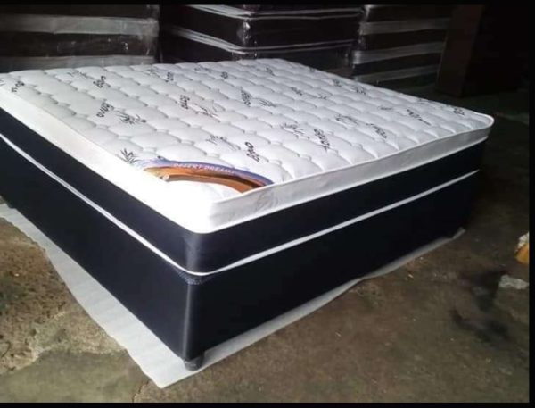 Euro-top Queen Bed